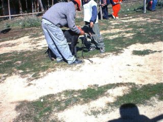 fotos (12)